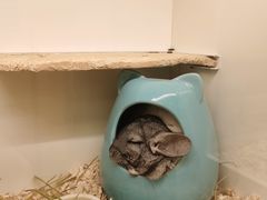 -龙猫仔乐园(惠福东路店)