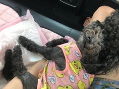 -美联众合动物医院·24h转诊中心