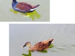 -前关湿地公园