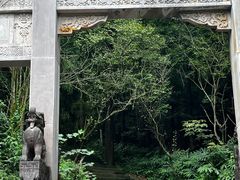 -凤栖山