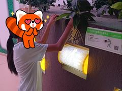 -苏州青少年科技馆