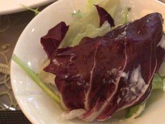 蔬菜沙拉-开元新晶都酒店·自助火锅