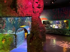 -沈阳海洋探索中心