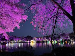 -桂林两江四湖景区