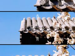 -春风习习