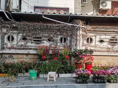 -溪岸路花鸟市场