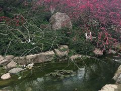 -秀丽东方