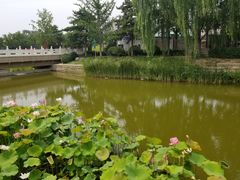 -春风习习