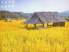 -湘邻呷铺·田园家宴(汉基广场店)