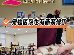 -艾贝尔宠物医院 ·中兽医·宠保定点(北门桥店)