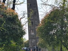 -上海佘山国家森林公园天马山园