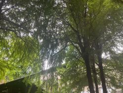 -爱帝宫月子中心(罗湖别墅院)