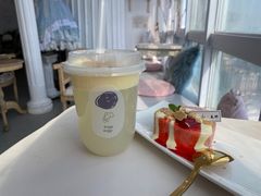-共舞时光猫咖·狗咖(新街口店)