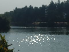 -艾溪湖湿地公园