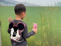 -眉山湿地公园(东坡区)