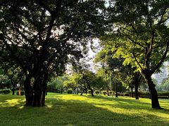 -晓港公园