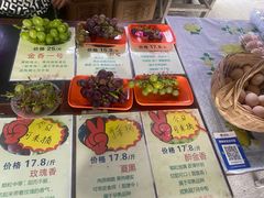 -马陆小张葡萄园农家乐