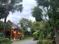 -西双版纳洲际度假酒店兰吧