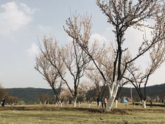 -江阴敔山湖公园