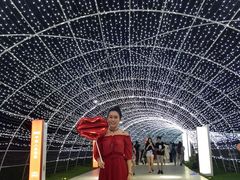 -秀丽东方