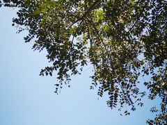 -十八重溪