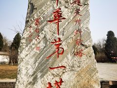 -开元寺塔