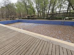 -林栖谷森林康养度假区