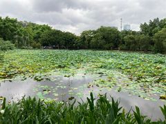 -云溪植物园
