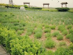 -青岛银沙滩
