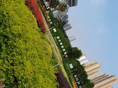 -文华公园(禅城区)