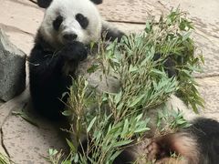 -南昌动物园