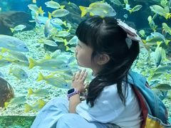 -海合安武汉极地海洋公园