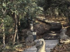 -采石矶景区