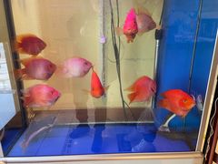 -三石铁板烧(紫竹桥店)