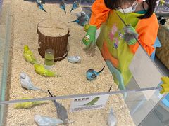 -怪兽屋·羊驼·猫咖·狗咖(俊华广场店)