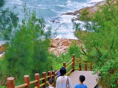 -广东惠东海龟国家级自然保护区