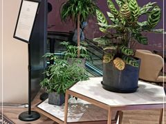 -THE WOODS 简餐 (国贸商城店)