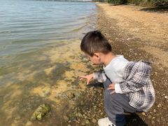 -艾溪湖湿地公园