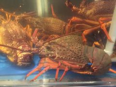 -馬車會海鮮酒樓