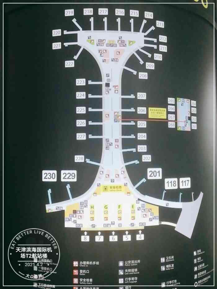 滨海机场平面图图片