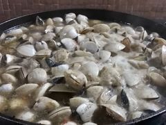 -顺德哥卜卜贝(旗舰店)