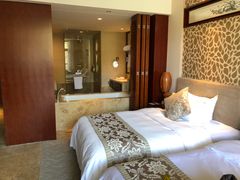 山景房-天目湖御水温泉·度假酒店