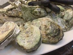 -蚝专家(北滘店)