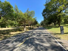 -福建鲤鱼洲酒店