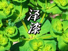 -上海吴淞炮台湾国家湿地公园