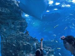 -成都浩海立方海洋公园