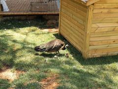 -云南艺术学院(呈贡校区)