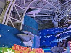 -烟台海昌鲸鲨海洋公园