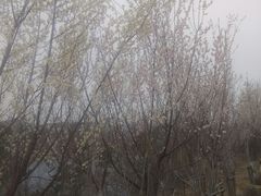 -大连自然博物馆·地球展厅
