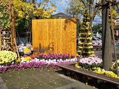 -汇龙潭